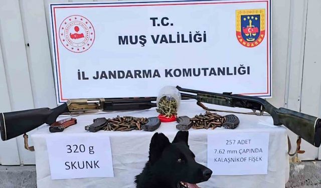 Muş’ta jandarmadan uyuşturucu ve silah operasyonu