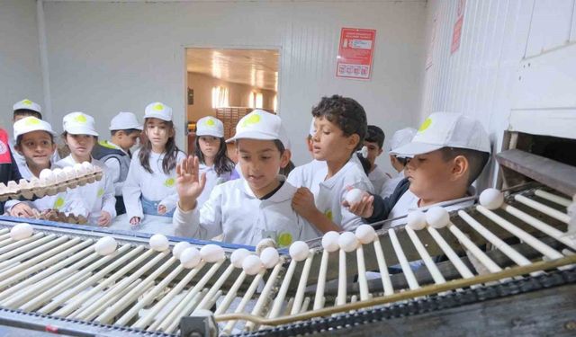 Muş’ta "kooperatifçilik" temalı tarım kampı düzenlendi