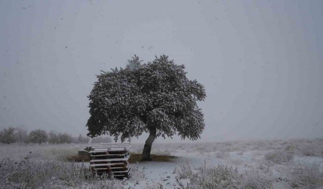 Niğde’nin yüksek kesimlerine mevsimin ilk karı yağdı