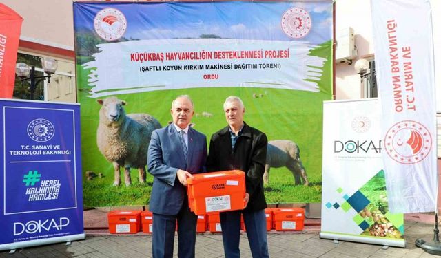 Ordu’da 150 koyun yetiştiricisine kırkım makine desteği