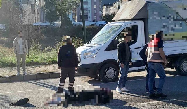 Ordu’da kamyonun çarptığı kadın hayatını kaybetti