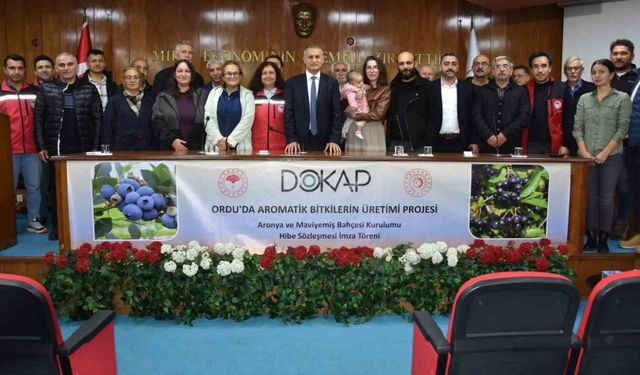 Ordu’da maviyemiş ve aronya üretim alanı 180 dekara ulaşıyor