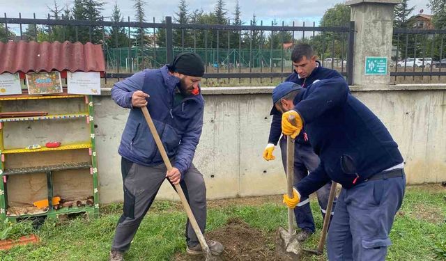 Orman yangınları sonrası yola çıktı, 71. fidanını Bolu’da dikti