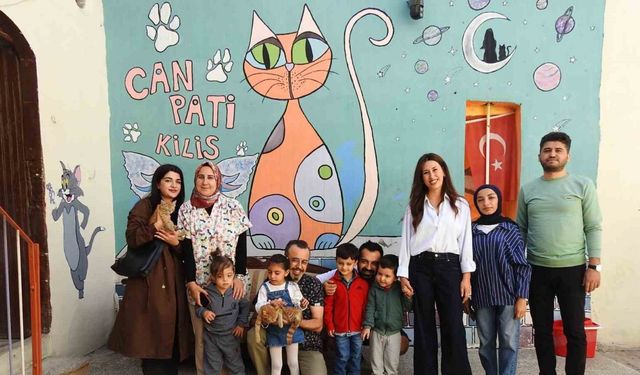 Otizmli çocuklar kedi evinde hayvan sevgisini öğrendi