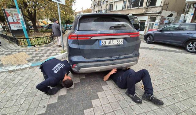 Otomobile giren kedi hava üflenerek kurtarıldı