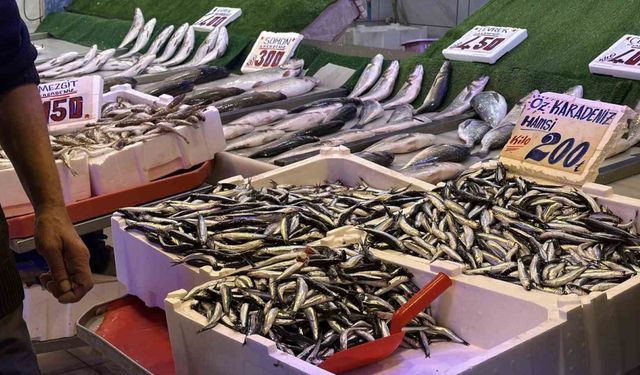 Palamudun yokluğunu Karadeniz’in vazgeçilmezi hamsi tamamlıyor