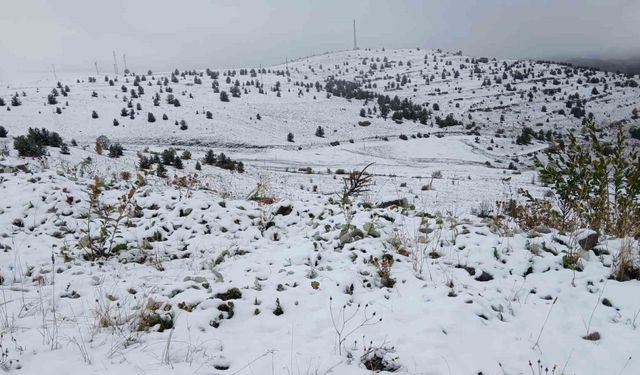 Posof’ta kar yağışı etkili oldu