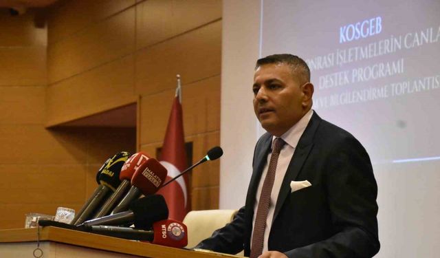 Sadıkoğlu: "Dördüncü geçici vergi dönemi yeniden gelmemeli"