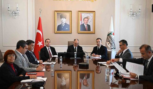 Sahipsiz hayvanlara yönelik tedbirler masaya yatırıldı