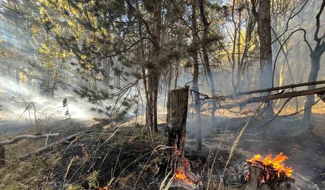 Sarıkamış’ta orman yangını: 2 hektar alan zarar gördü