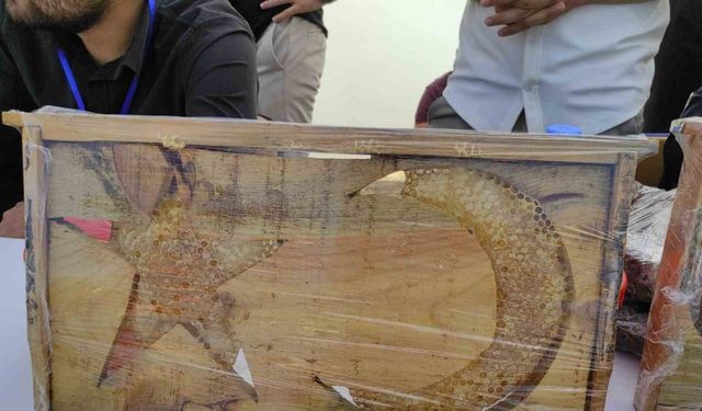 Sason’da ’ay yıldızlı’ arı kovanları yoğun ilgi görüyor