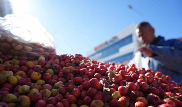 ’Seyyar doktor’ dağ bitkileriyle şifa dağıtıyor