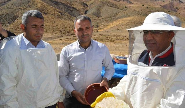 Siirt İl Tarım Müdürü Şanverdi: "Terörsüz Türkiye kapsamında dağlarımızda açacağımız yollar, bal üretimine büyük katkı sağlayacak"