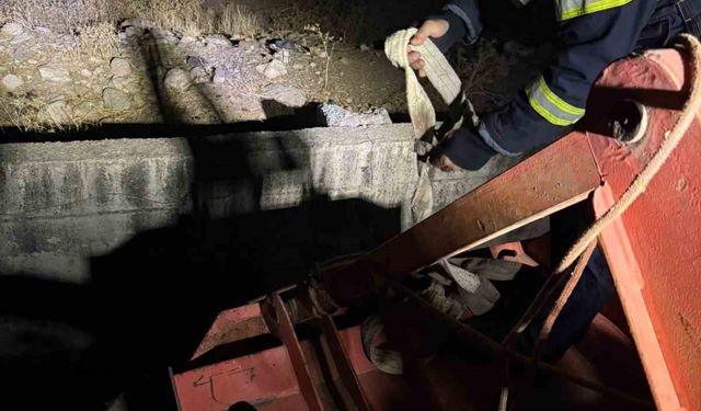 Siirt’te kanala düşen inek kurtarıldı