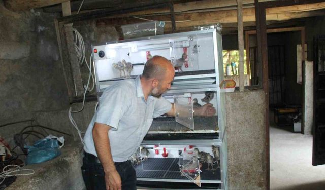 Şırnaklı çiftçi, engelli aile bireyleri nedeniyle evinden çıkamadı, çiftliği eve taşıdı