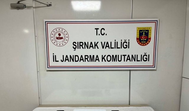 Şırnak’ta "dosya kapatma" iddiasıyla 2 polis memuru tutuklandı