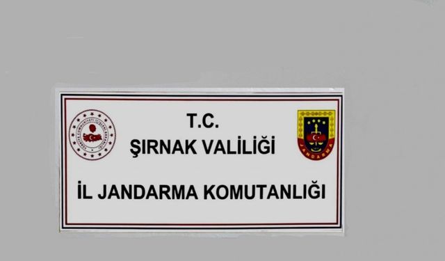 Şırnak’ta jandarmadan kaçakçılık operasyonu: 1 tutuklama