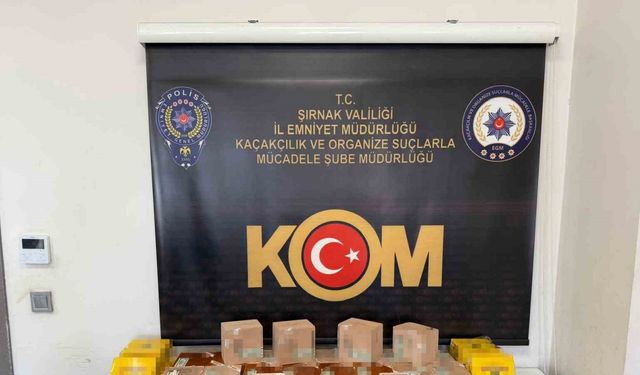 Şırnak’ta narkotik, kaçakçılık ve asayiş operasyonu: 3 tutuklama