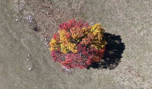 Sonbahar Karadeniz’de ilk bu köye uğruyor