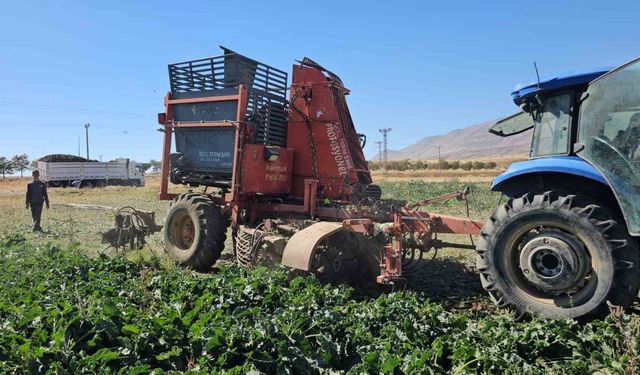 Tarımın kalbi Adilcevaz’da pancar sökümüne başlandı