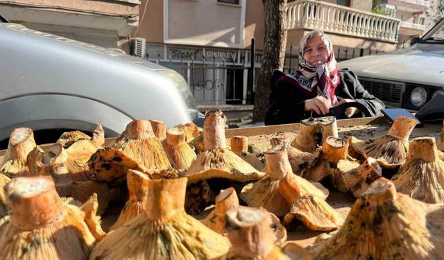 Tavşanlı pazarında mantar mesaisi