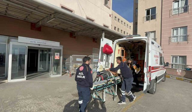 Tekirdağ’da iskeleden düşen işçi ağır yaralandı