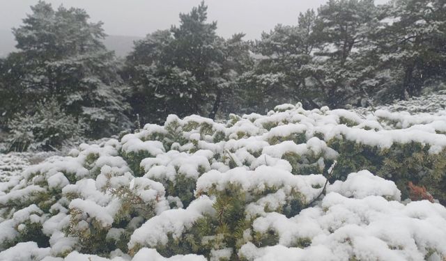 Tokat yükseklerinde kar, kent merkezinde yağmur etkili oldu