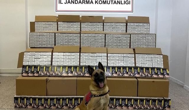 Tokat’ta 1 milyon 200 bin TL değerinde bandrolsüz makaron ele geçirildi