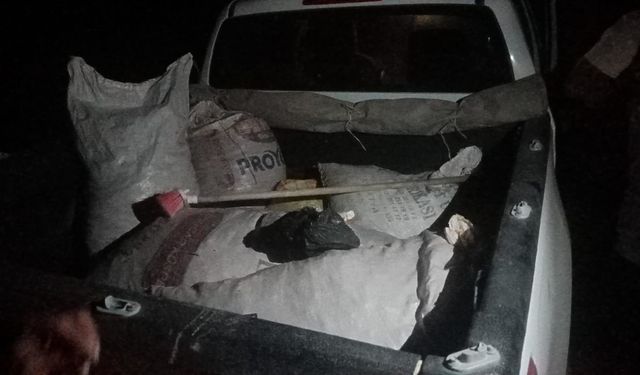Tunceli’de Dağ Sarımsağı kaçakçılığı: 557 bin TL idari para cezası kesildi