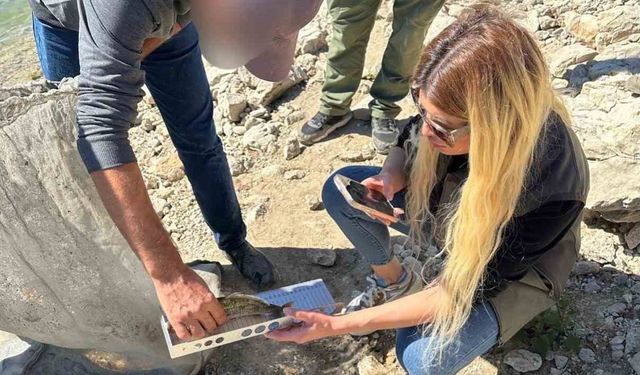 Tunceli’de yasak ağ kullanan ve boy limitine uymayan şahıslara ceza kesildi