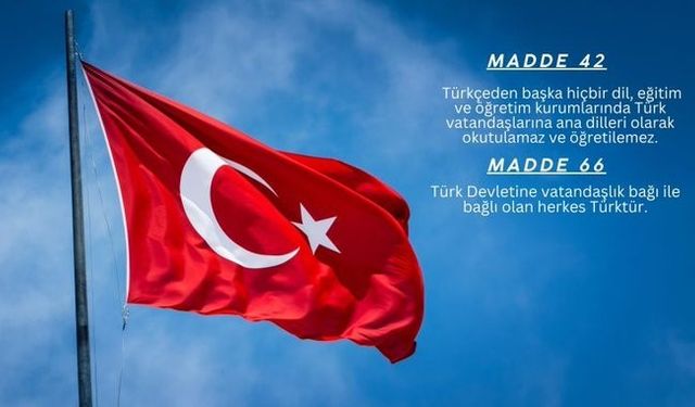 Türk Eğitim-Sen Genel Başkanı Geylan: "‘Ana dilde eğitim’ talebinin ortaya konulması, doğrudan anayasanın ihlali anlamına gelmektedir"