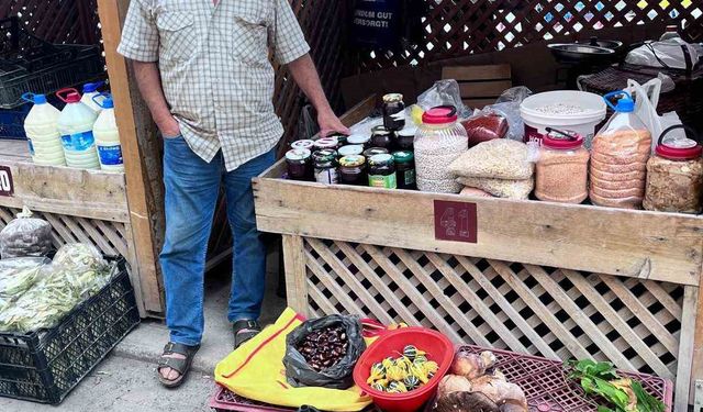 Türkeli’de kestane ve fesleğen mantarı tezgahlarda