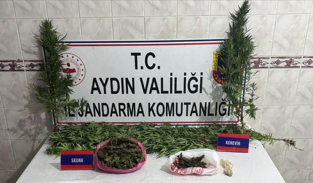 Uyuşturucu satıcısının evinde 498 gram skunk ele geçirildi