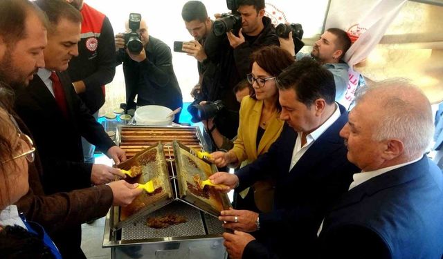 Vali Akbıyık: "Çam balında dünya birincisiyiz"