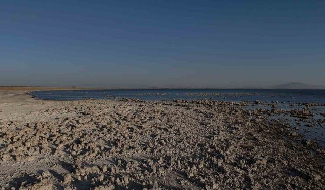 Van Gölü’nde kuraklık alarmı: Suyun çekilmesi endişe verici bir tabloya dönüştü