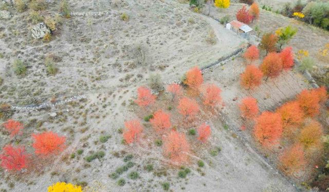 Yağlı boya tablolarını andıran sonbahar manzarası