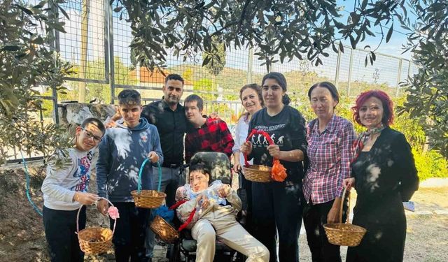 Yahşi Özel Eğitim öğrencilerinden anlamlı zeytin hasadı