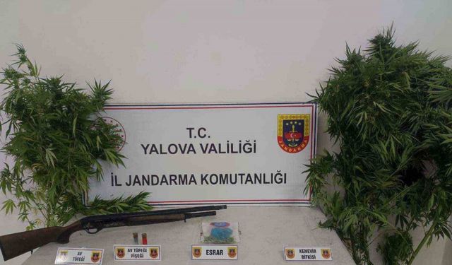 Yalova’da ormanlık alanda uyuşturucu yetiştiren 2 şüpheli yakalandı