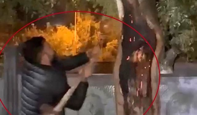 Yanan ağacı önce kesmeye çalıştı, sonra su kovası ve ibrikle söndürdü