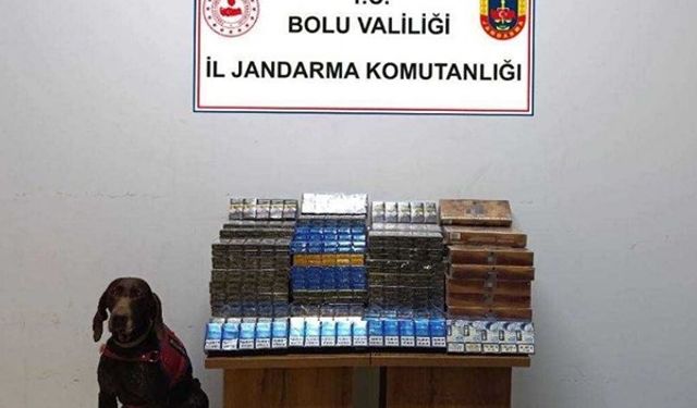 Yolcu otobüsünde bin 650 paket kaçak sigara ele geçirildi