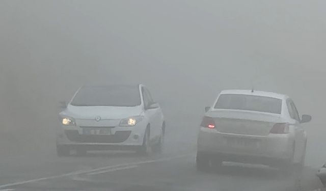 Yüksekova-Şemdinli kara yolunda yoğun sis