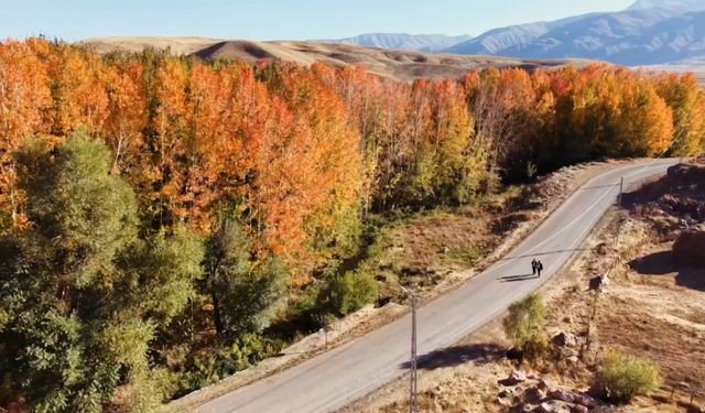 Yüksekova’da sonbahar ihtişamı: Kırmızı, sarı ve yeşil Cilo eteklerini cennete çevirdi
