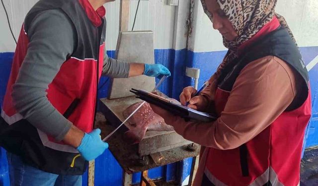 Zonguldak’ta su ürünleri denetimleri sürüyor