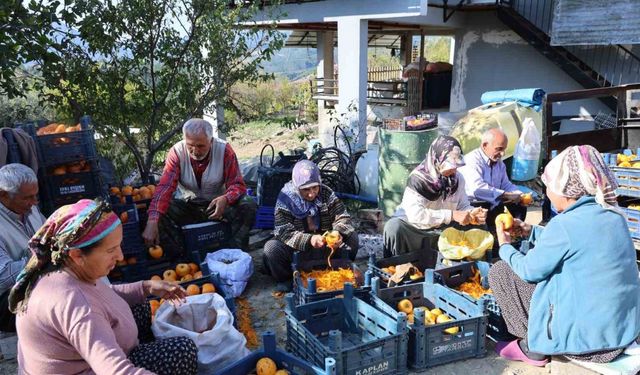 Adana’nın hurmalı köyü, açık fabrikaya dönüştü