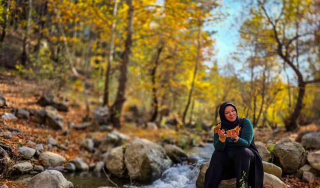 Belemedik, sonbaharda renk cümbüşüne büründü
