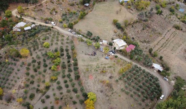 Dünyanın en pahalı baharatı safran Adana’da hasat edildi