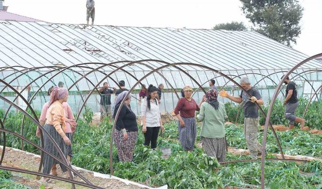 Mersin’de fırtına ve hortum seralara zarar verdi