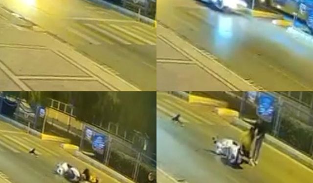 Mersin’de motosiklet kazasında köpeğin sadakati duygulandırdı