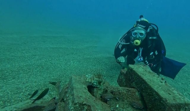 Profesör deniz dibinde taşlardan balıklara yuva yaptı: 12 tür barış içinde yaşıyor