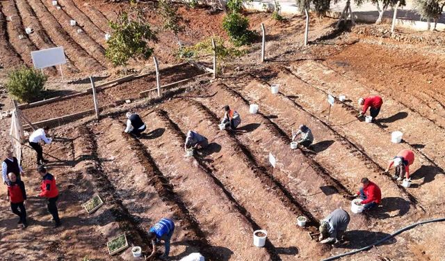 Salep toprakla buluşturuldu